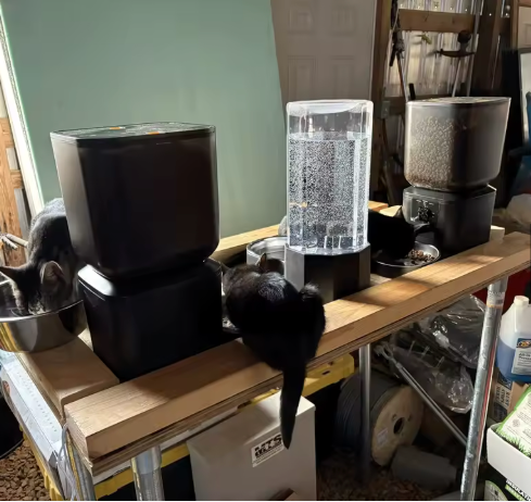 Jessica H. review photo