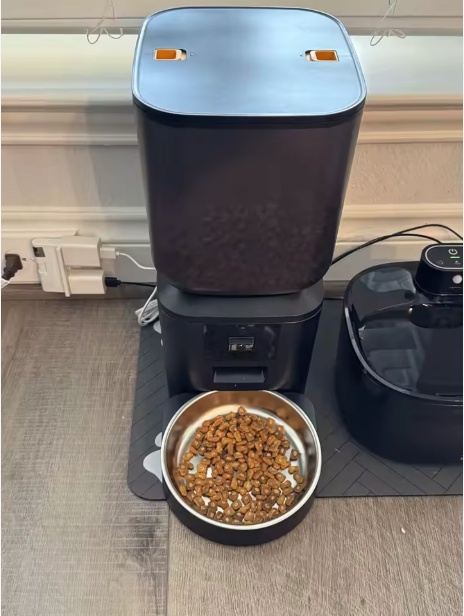 Ben & Luna review photo