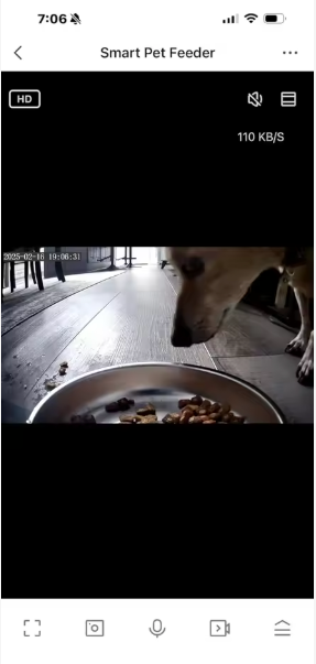 Lucas T. review photo