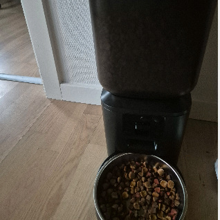 Melissa F. review photo